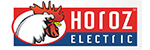 Horoz Electric