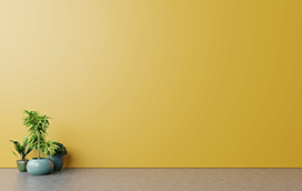 ЗА СТЕНАТА ЗА СТЕНАТА