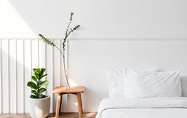 ВЪЗГЛАВНИЦИ