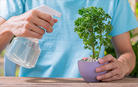 ПРЪСКАЧКИ И ПУЛВЕРИЗАТОРИ