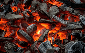 ДЪРВЕНИ ВЪГЛИЩА