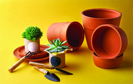 САКСИИ И ПОДЛОЖКИ САКСИИ И ПОДЛОЖКИ