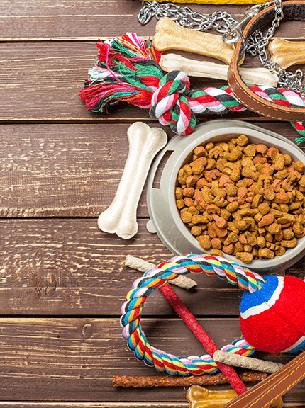 Развлечения/Хоби