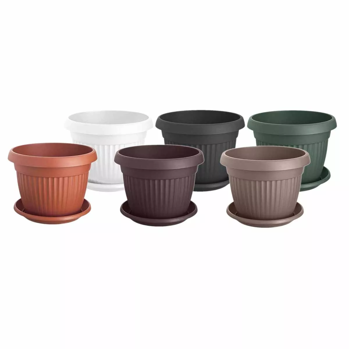 САКСИЯ РЕБРА КРЪГ Ф36