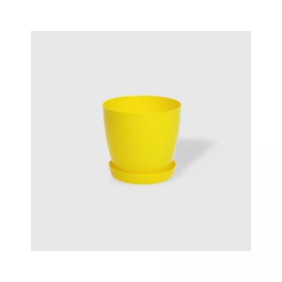 ГЛАДКА САКСИЯ LALA С ПОДЛОЖКА