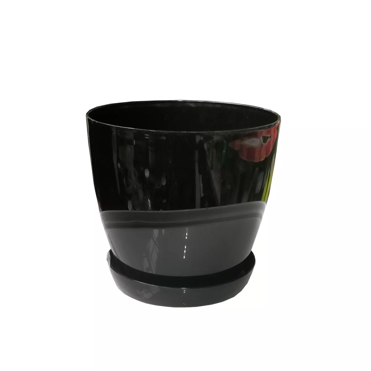 ГЛАДКА САКСИЯ LALA С ПОДЛОЖКА Ф17 3Л