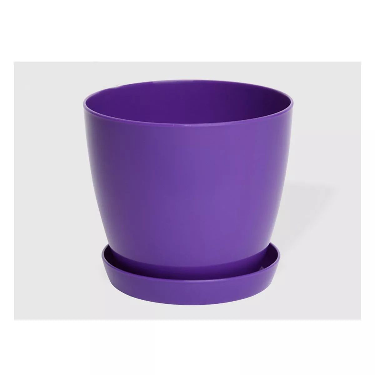 ГЛАДКА САКСИЯ LALA С ПОДЛОЖКА Ф28