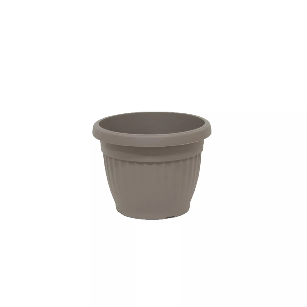 КРЪГЛА САКСИЯ РЕБРА Ф20