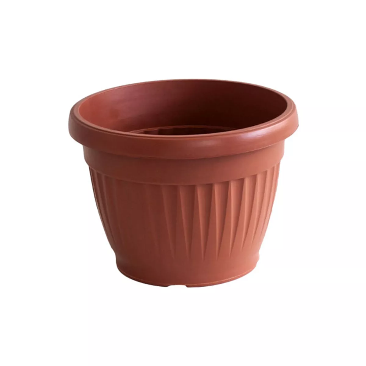 КРЪГЛА САКСИЯ РЕБРА Ф25