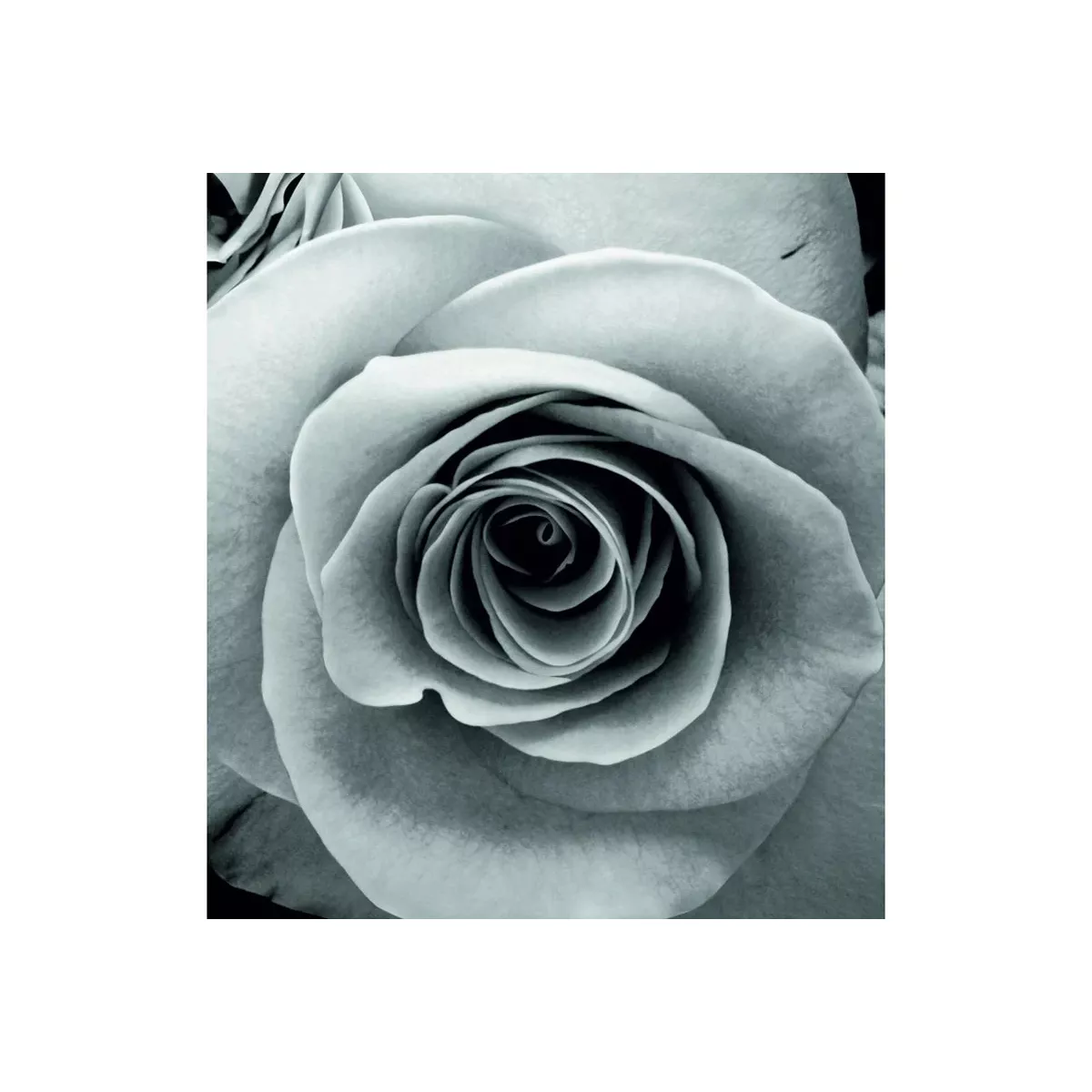 ЗАВЕСА ЗА БАНЯ - ICSC 143