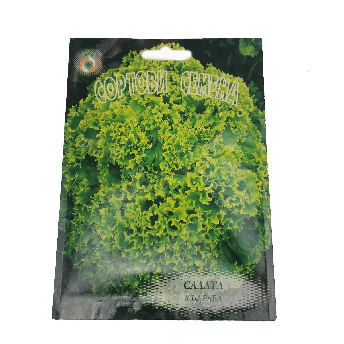 САЛАТА КЪДРАВА ДЖЕНТИЛИНА