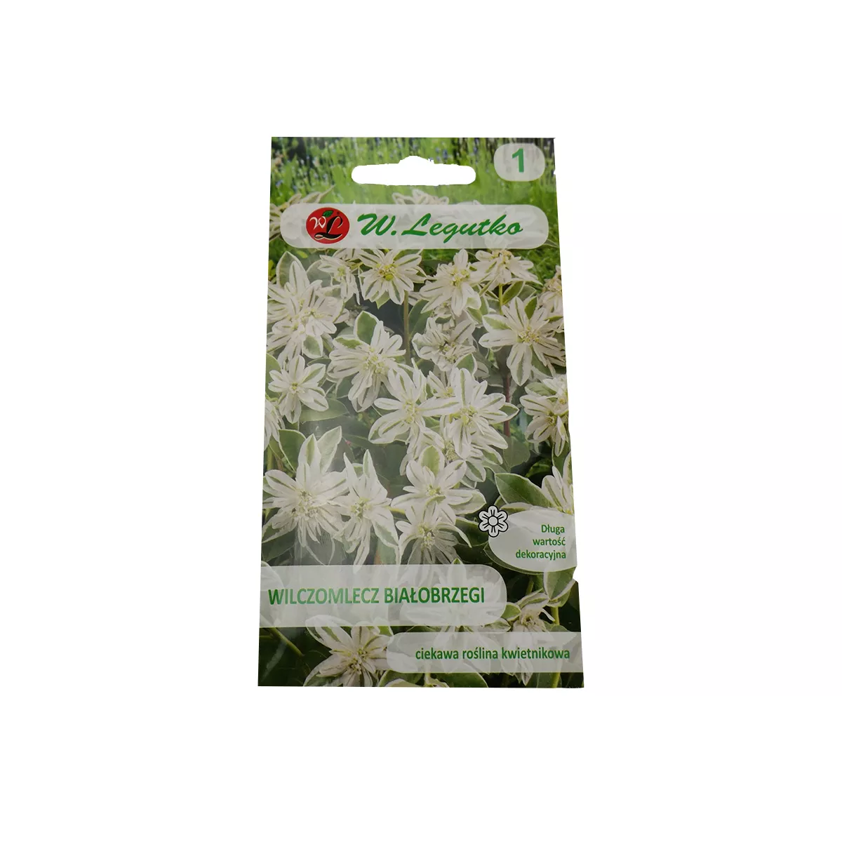 ЕУФОРБИЯ МАРГИНАТА