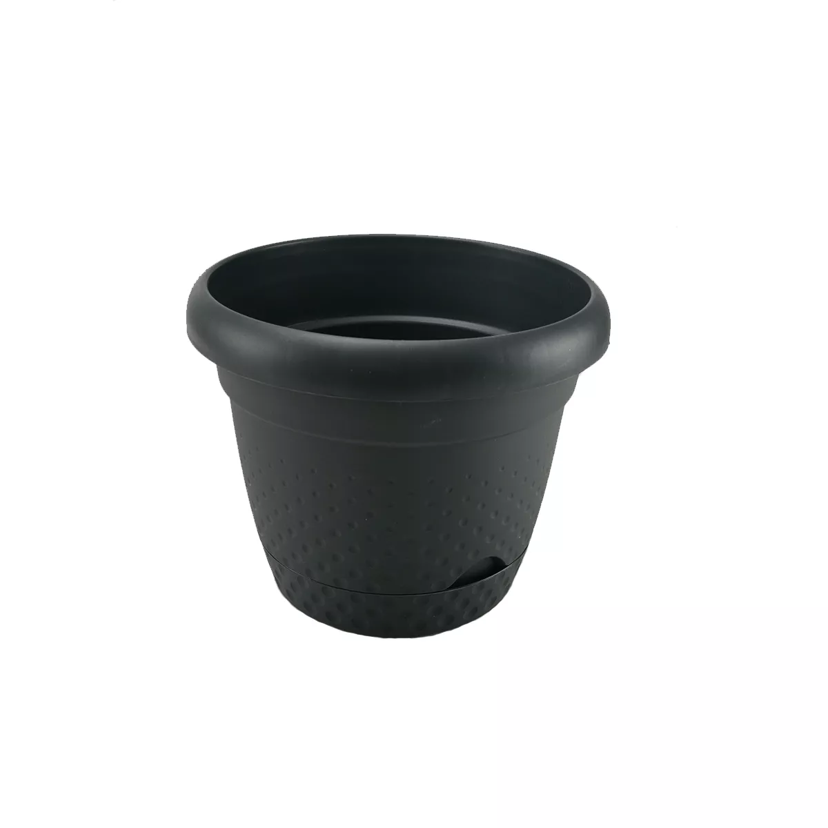 САКСИЯ Ф24 KRS-343