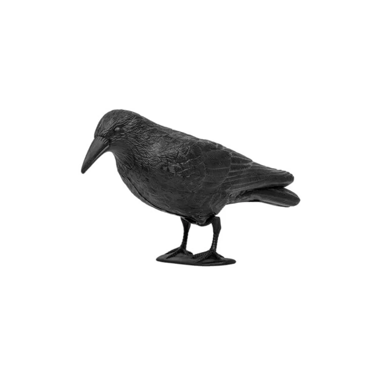 ПЛАШИЛО ГАРВАН СТОЯЩ