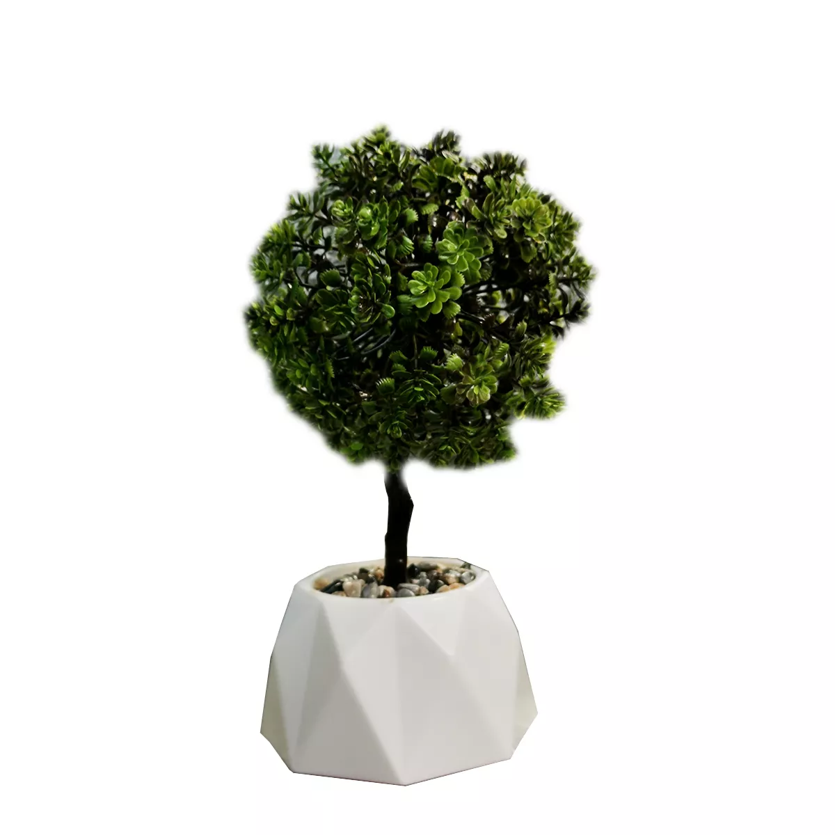 ДЕКОРАТИВНО ЦВЕТЕ В САКСИЙКА 2885553