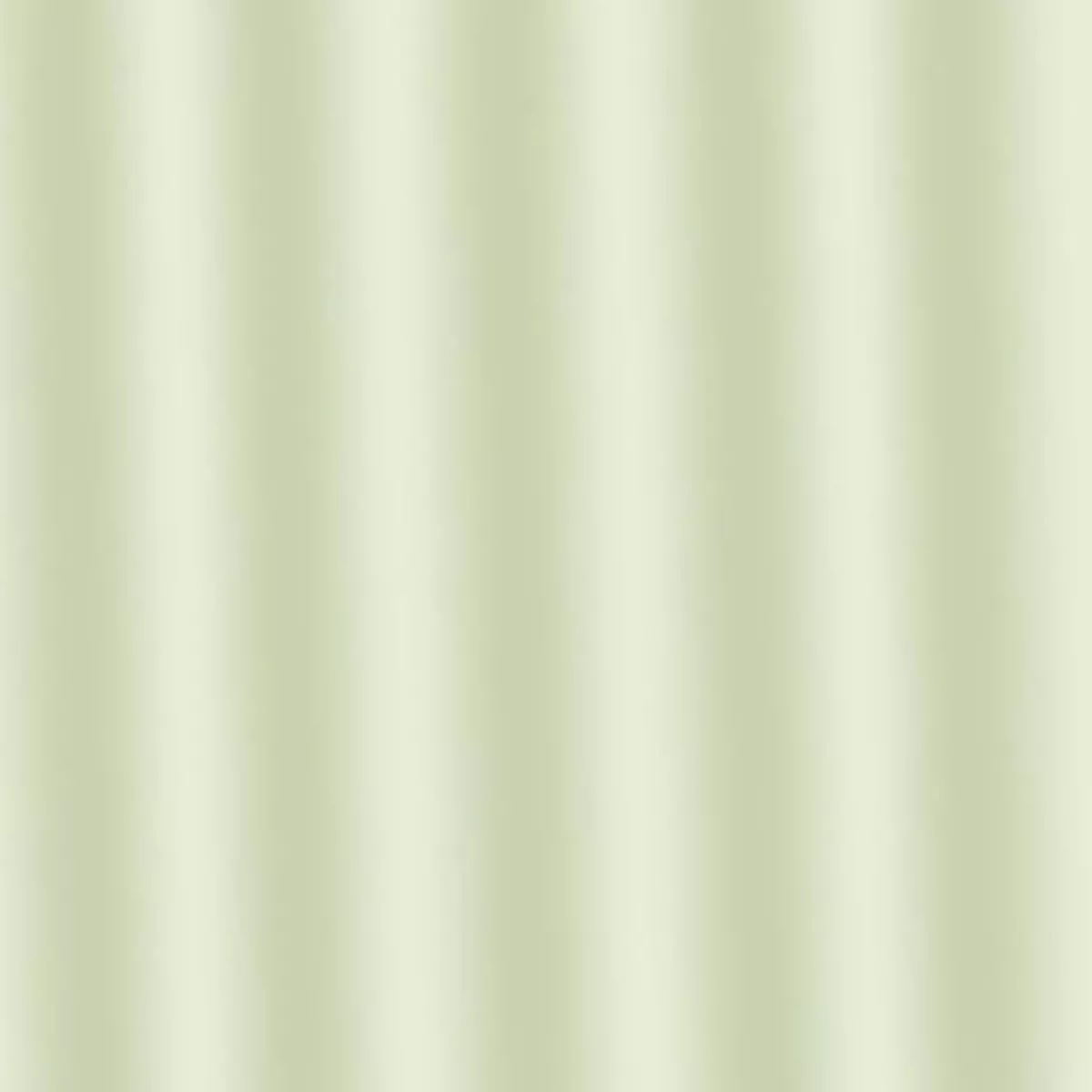 ЗАВЕСА ЗА БАНЯ ДЮС ЗЕЛЕНА 180*200СМ. + 12 КУКИ/  03503