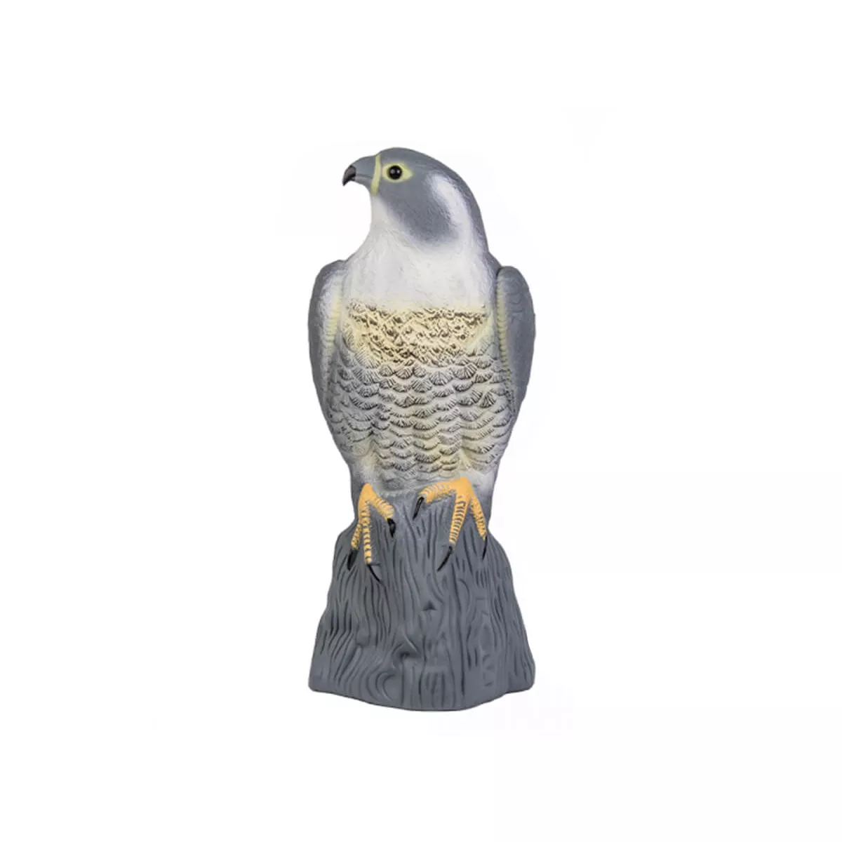 ПЛАШИЛО СОКОЛ СТОЯЩ