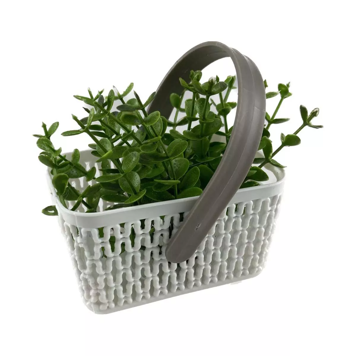 ИКЕБАНА В КОШНИЦА - EVA, 5538106677