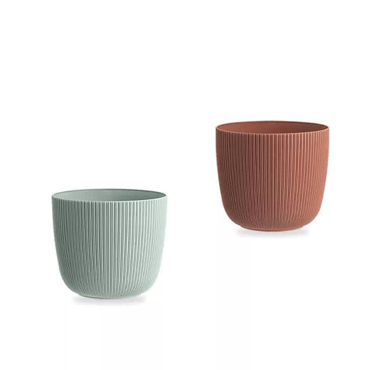 САКСИЯ VIOLA Ф21