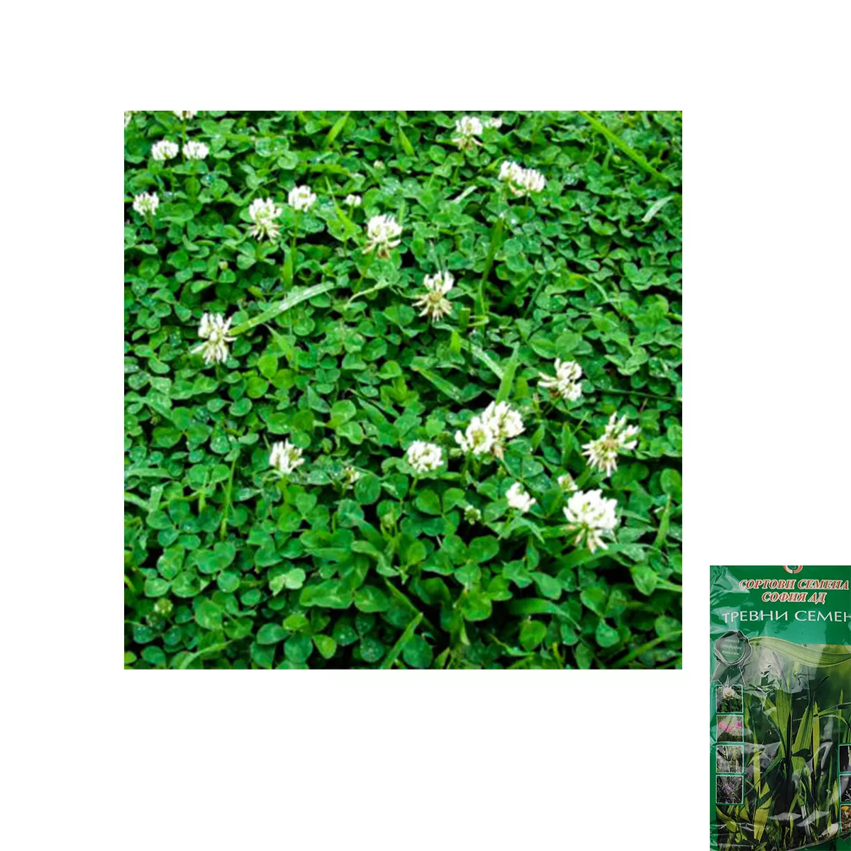 ДЕТЕЛИНА БЯЛА 1КГ.