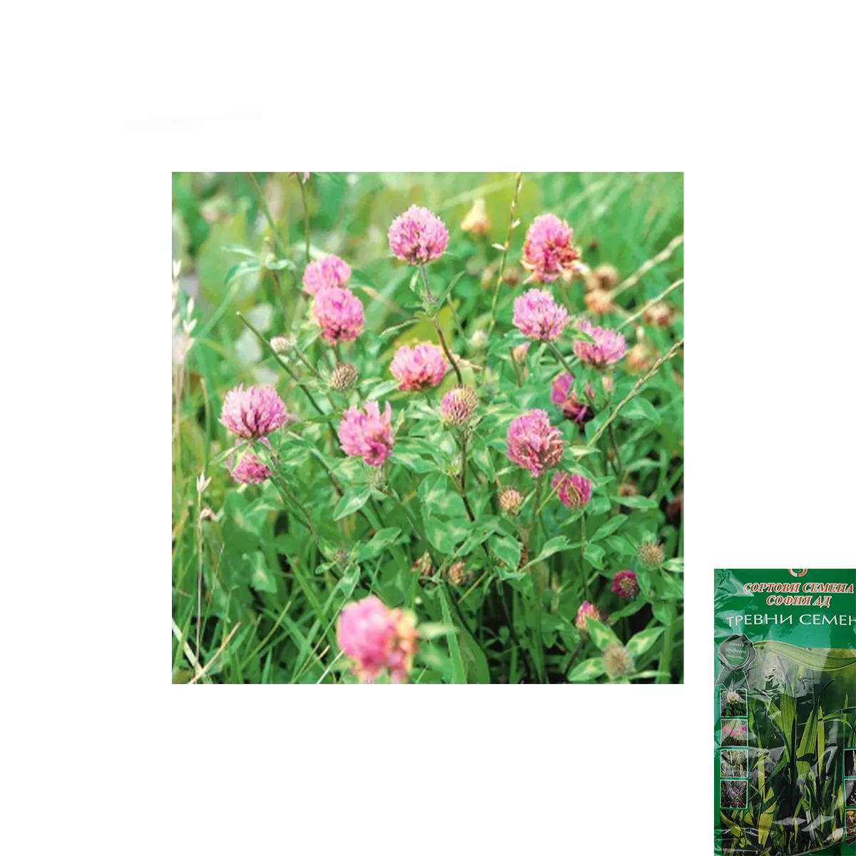 ДЕТЕЛИНА ЧЕРВЕНА 1КГ.