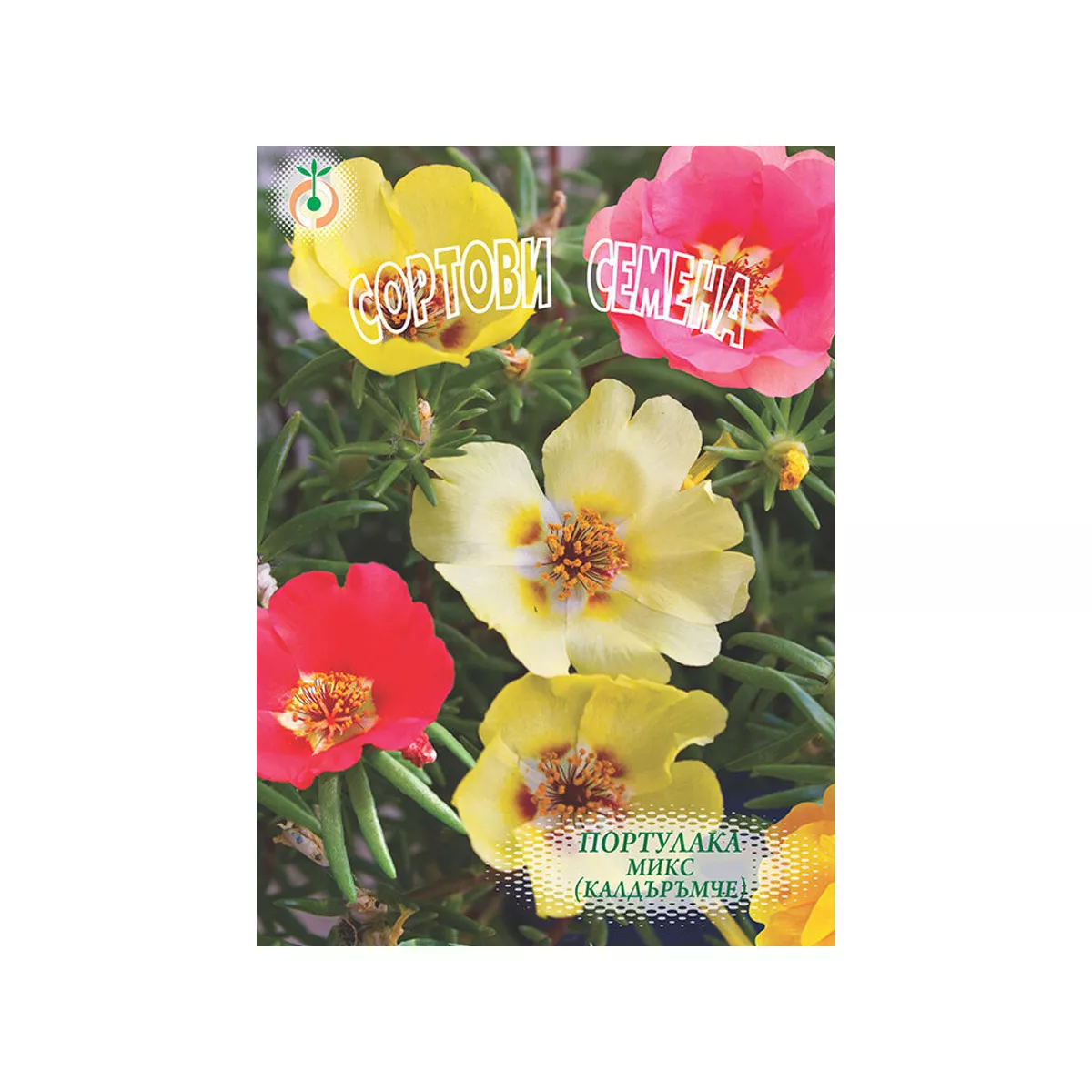 ПОРТУЛАКА  ОБИКНОВЕНА МИКС (КАЛДЪРЪМЧЕ)