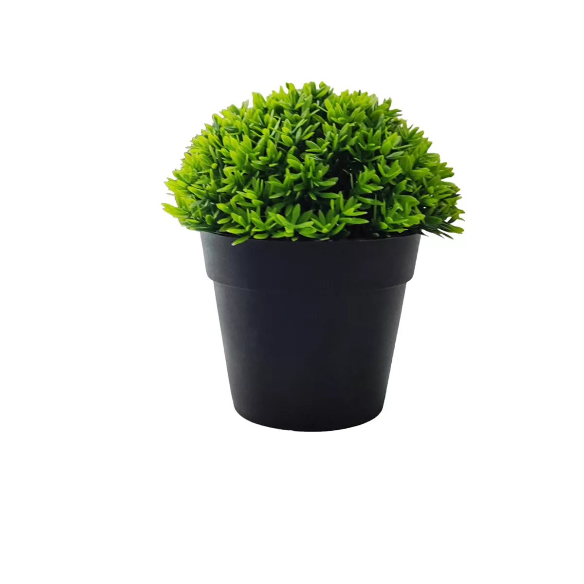 ИКЕБАНА В САКСИЯ - ХРАСТ, МОД.EVA5796/ И107592