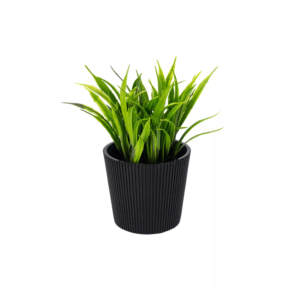 ИКЕБАНА В САКСИЯ - EVA5826/И108432