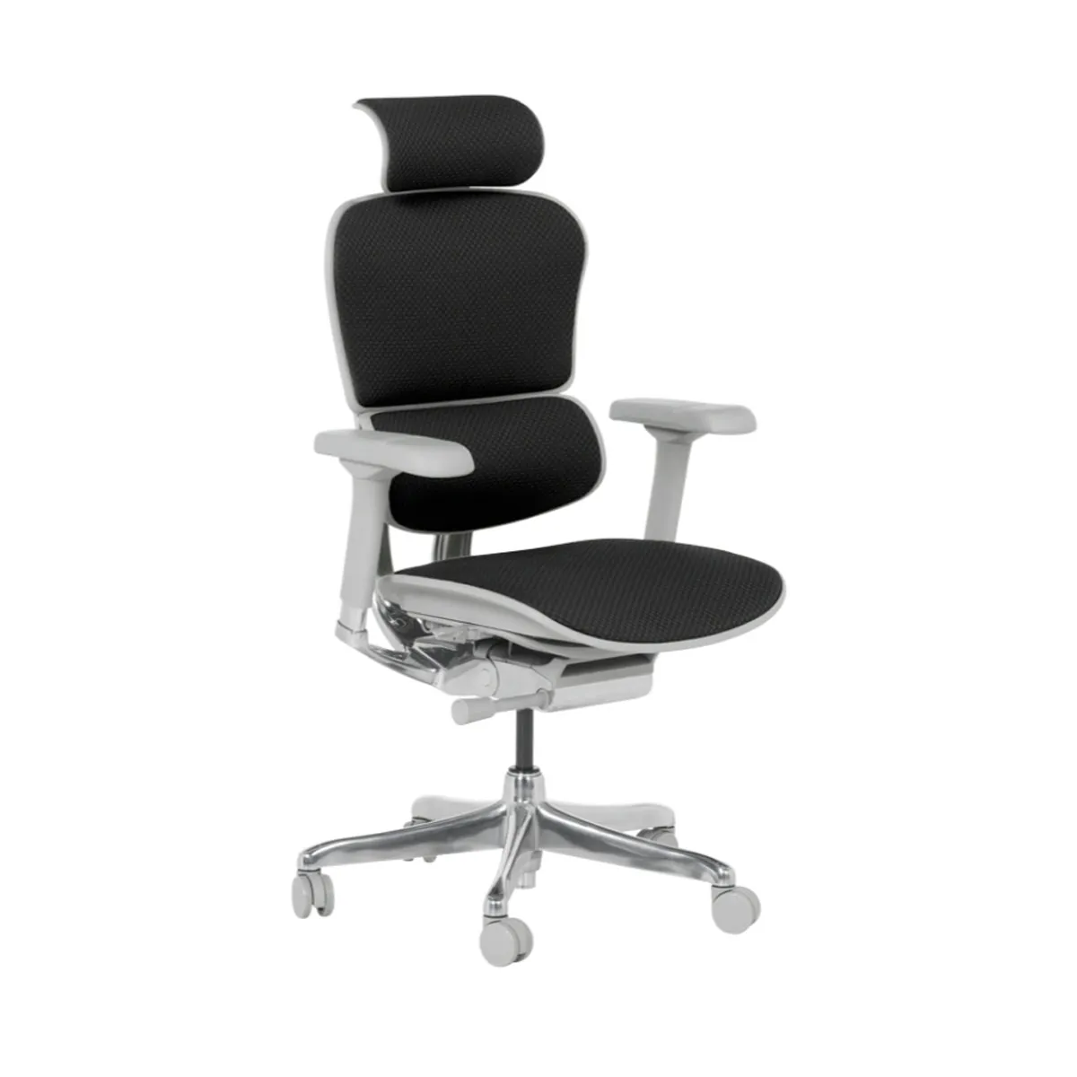 ЕРГОНОМИЧЕН ОФИС СТОЛ ERGOHUMAN ELITE 2 - СИВА РАМА - ЧЕРЕН