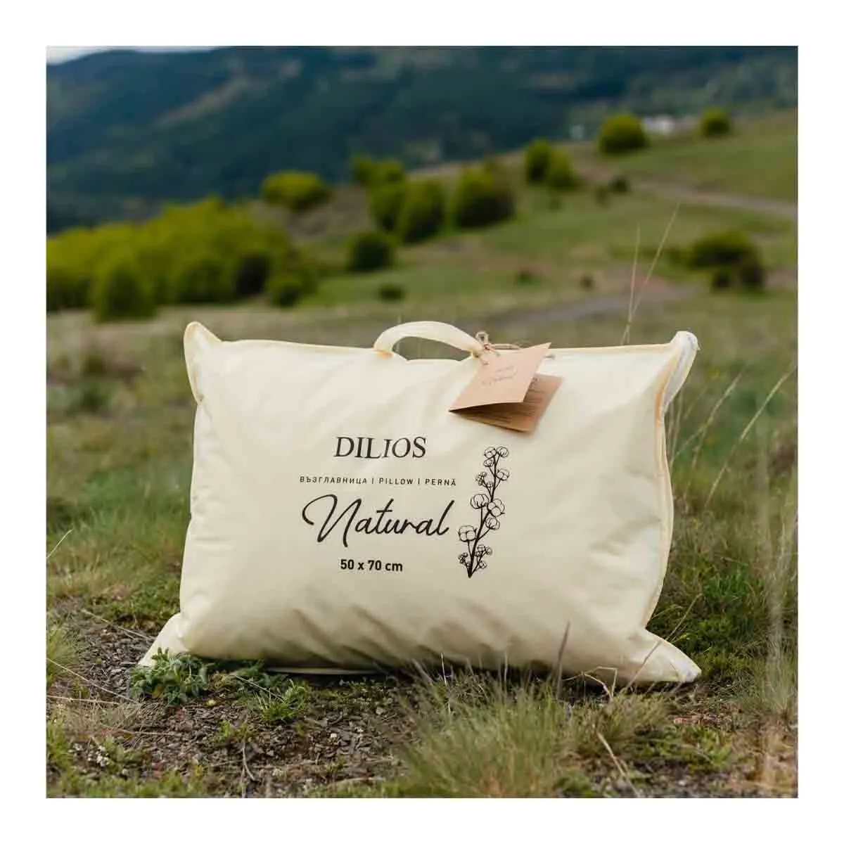 ВЪЗГЛАВНИЦА - DILIOS - 21797