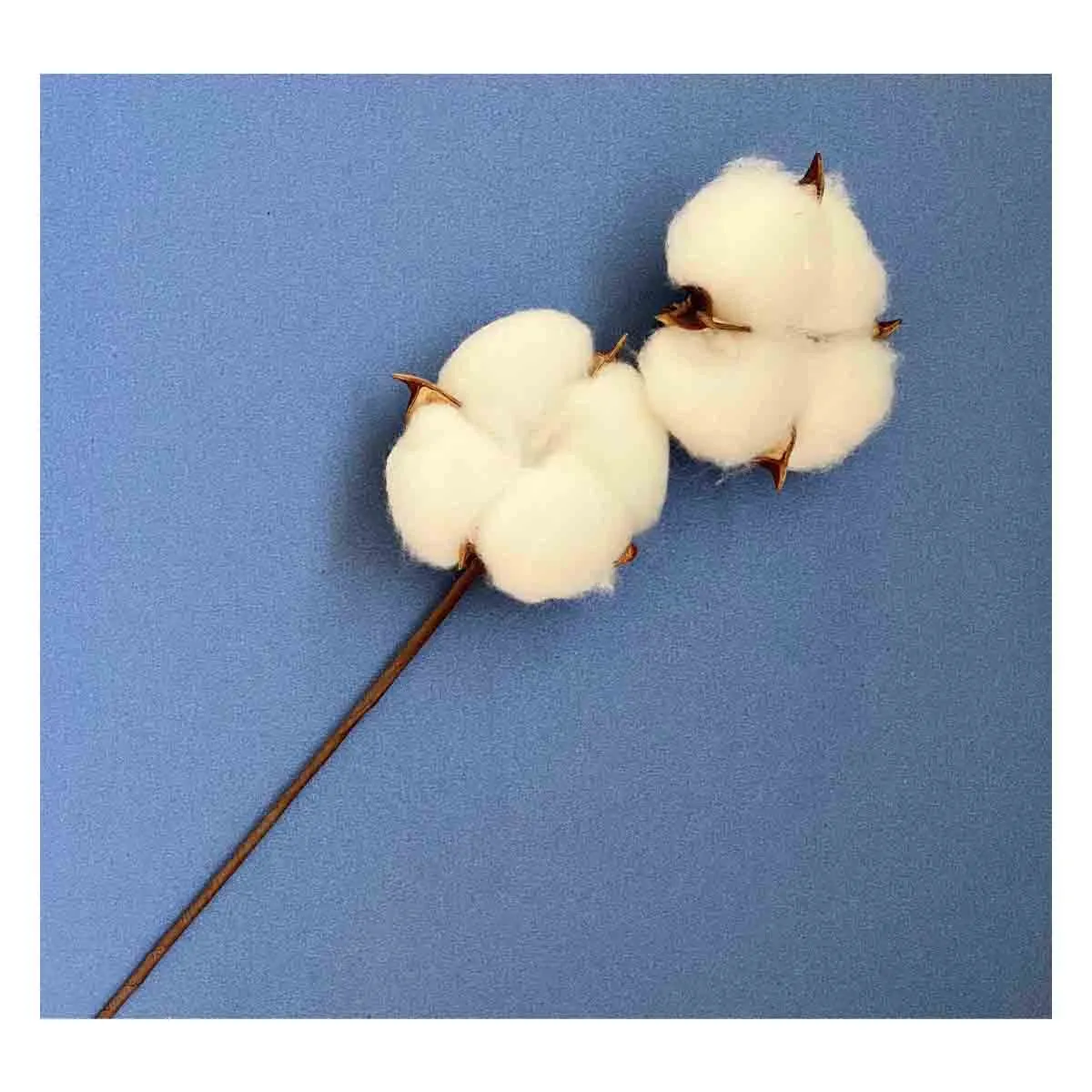 КОЛЕДНИ КЛОНКИ - 25-129 5118