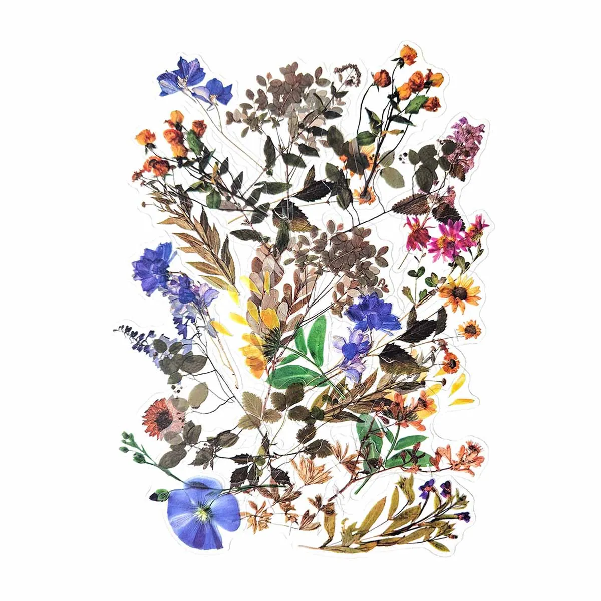 СТИКЕРИ ПРОЗРАЧНИ - EXOTIC GARDEN, 51962