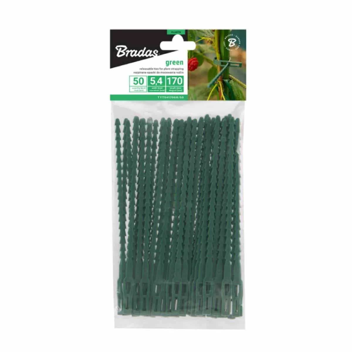 ВРЪЗКИ ЗА РАСТЕНИЯ - BRADAS, 170ММx50БР / 54170GR/50