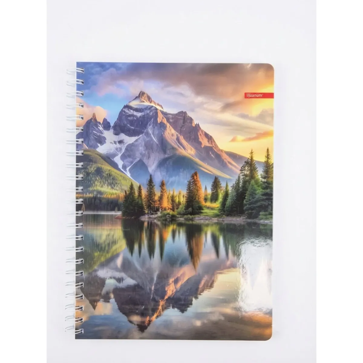 ТЕТРАДКА СЪС СПИРАЛА А4 - ILIJANUM ТК, 120Л / 52634