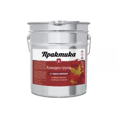 ПРАКТИКА ГРУНД СИВ 25КГ_0