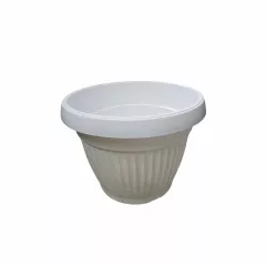 КРЪГЛА САКСИЯ РЕБРА Ф30_1