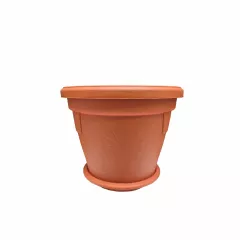 САКСИЯ ГЕРБЕР Ф20_1