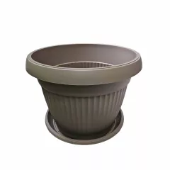 САКСИЯ РЕБРА КРЪГ Ф45_1