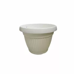 САКСИЯ РЕБРА КРЪГ Ф36_1