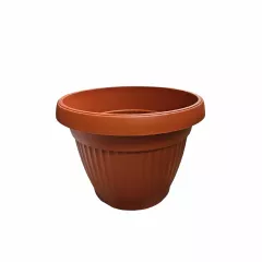 САКСИЯ РЕБРА КРЪГ Ф36_2