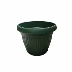 САКСИЯ РЕБРА КРЪГ Ф36_3