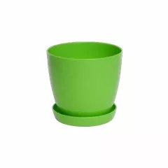 ГЛАДКА САКСИЯ LALA С ПОДЛОЖКА_1