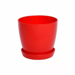 ГЛАДКА САКСИЯ LALA С ПОДЛОЖКА_2