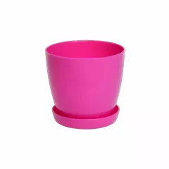 ГЛАДКА САКСИЯ LALA С ПОДЛОЖКА_3