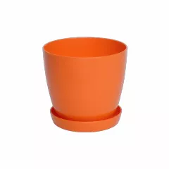 ГЛАДКА САКСИЯ LALA С ПОДЛОЖКА_5