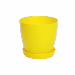 ГЛАДКА САКСИЯ LALA С ПОДЛОЖКА_6