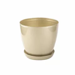 ГЛАДКА САКСИЯ LALA С ПОДЛОЖКА Ф28_1