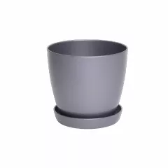 ГЛАДКА САКСИЯ LALA С ПОДЛОЖКА Ф28_5