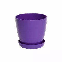 ГЛАДКА САКСИЯ LALA С ПОДЛОЖКА Ф28_6