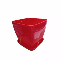 САКСИЯ ГЛАДКА ФЛОРА 17x17 СМ_2